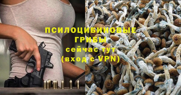 бошки Лабытнанги