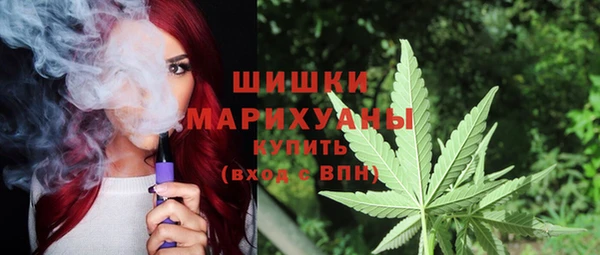 бошки Лабытнанги