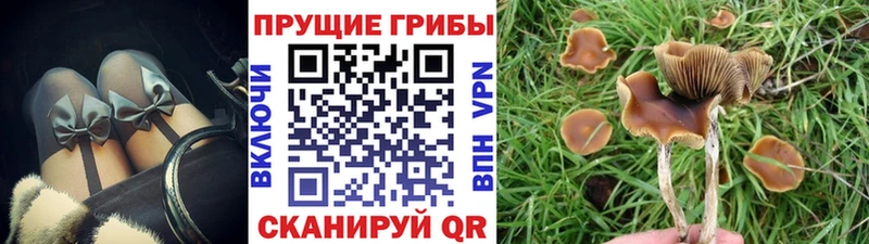 Галлюциногенные грибы Cubensis  наркошоп  ссылка на мегу ONION  Юрюзань 